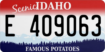 ID license plate E409063