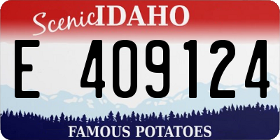 ID license plate E409124
