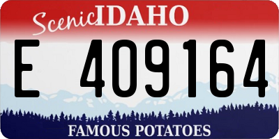 ID license plate E409164
