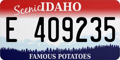 ID license plate E409235