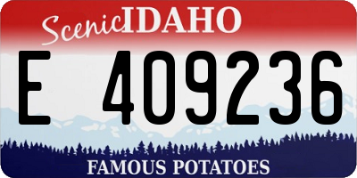 ID license plate E409236