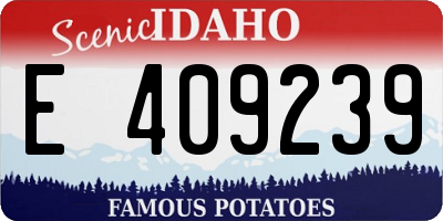 ID license plate E409239