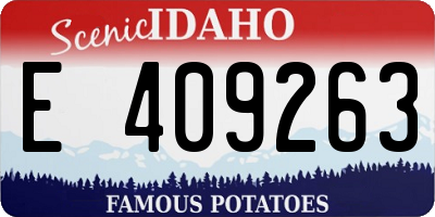 ID license plate E409263