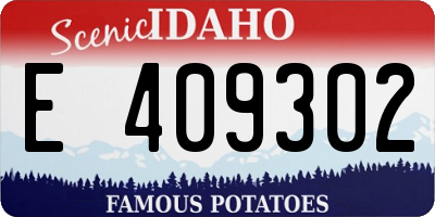 ID license plate E409302