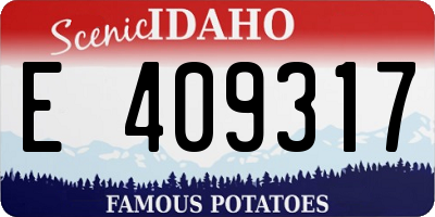 ID license plate E409317