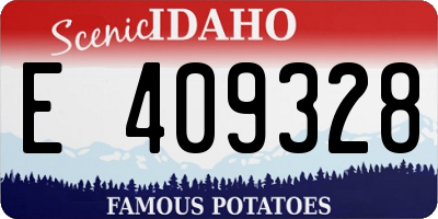 ID license plate E409328