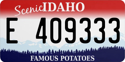 ID license plate E409333