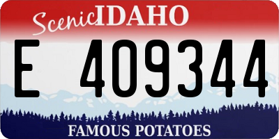 ID license plate E409344
