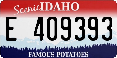 ID license plate E409393