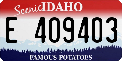 ID license plate E409403