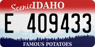 ID license plate E409433