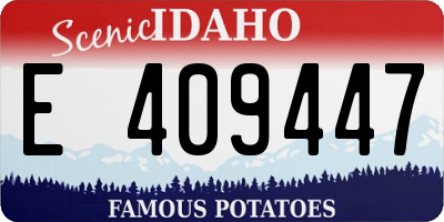 ID license plate E409447