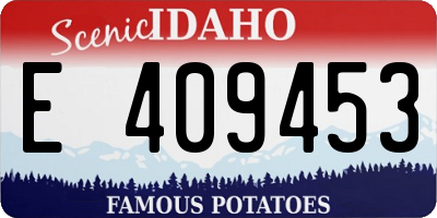 ID license plate E409453
