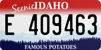 ID license plate E409463