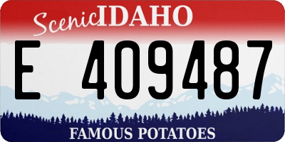 ID license plate E409487