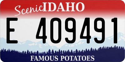 ID license plate E409491