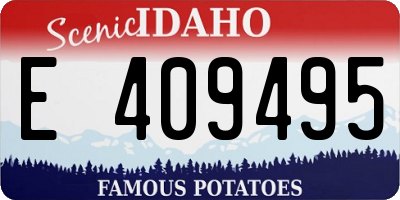 ID license plate E409495
