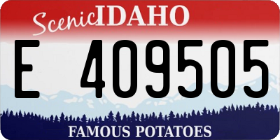 ID license plate E409505