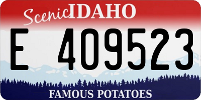 ID license plate E409523