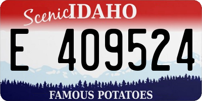 ID license plate E409524