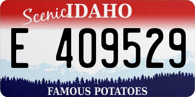 ID license plate E409529