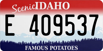 ID license plate E409537