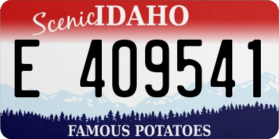 ID license plate E409541