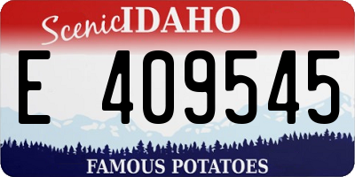 ID license plate E409545