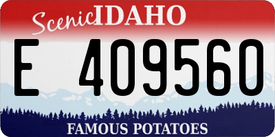 ID license plate E409560