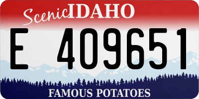 ID license plate E409651
