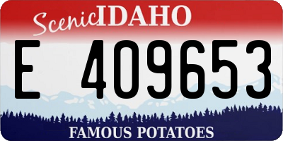 ID license plate E409653