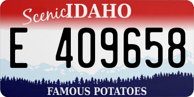 ID license plate E409658