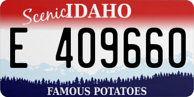 ID license plate E409660
