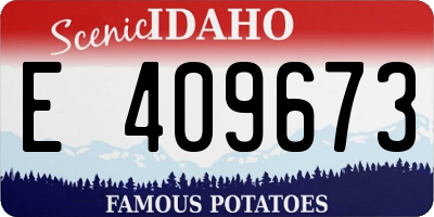 ID license plate E409673