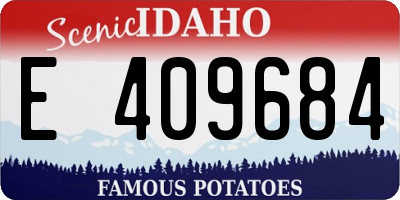 ID license plate E409684