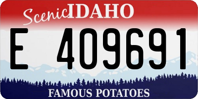 ID license plate E409691