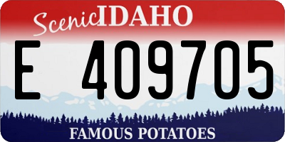 ID license plate E409705