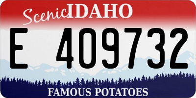 ID license plate E409732