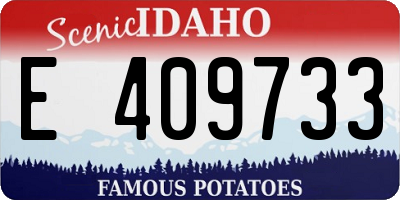 ID license plate E409733