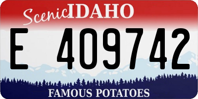 ID license plate E409742