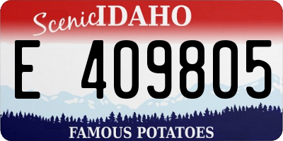 ID license plate E409805