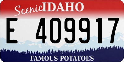 ID license plate E409917