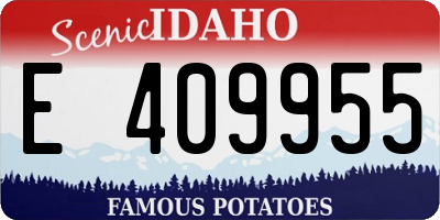 ID license plate E409955