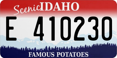 ID license plate E410230