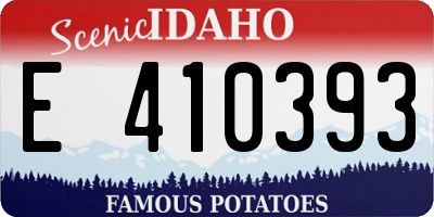 ID license plate E410393