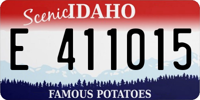 ID license plate E411015