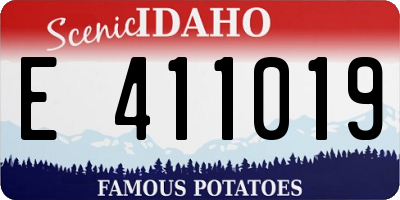 ID license plate E411019