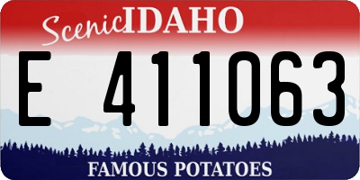 ID license plate E411063