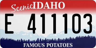 ID license plate E411103