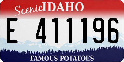 ID license plate E411196